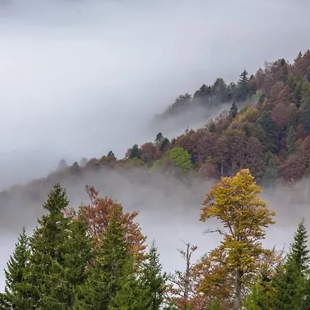 Conacul De Sub Munte * Novaci-Străini